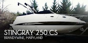 2008 Stingray 250 CS image 1