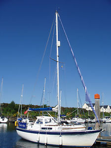 SAILING CRUISER