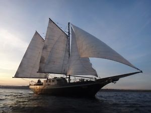 2005 custom made Urania 2