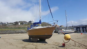 cobra 850 sailing boat