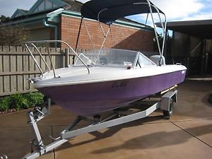 4.9 mtr. Fibreglass Fishing Boat & Trailer , 115Hp Evinrude 2 Stroke Outboard