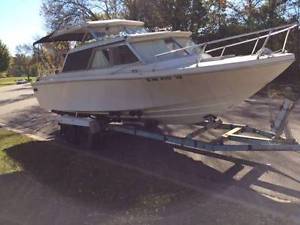 1975 bayliner bayliner