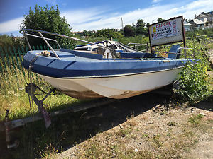 17ft Wilson Flyer Dory 50hp Evinrude Electric Start NO trailer Fishing POT Boat