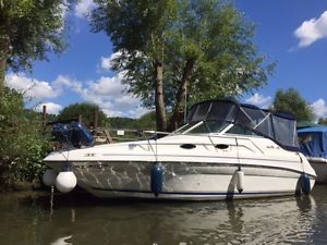 Searay Sundancer 240