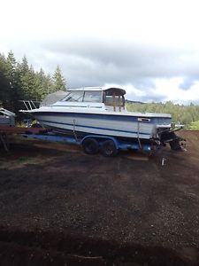 1989 Bayliner Bayliner