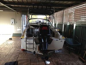 Haines Hunter Boat V17L