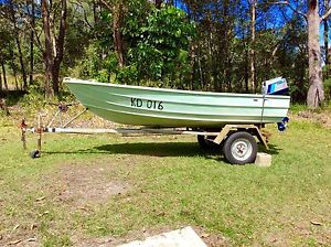 12ft Tinnie Boat with Tohatsu motor