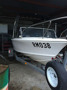 15ft 4.5m fishing ski boat