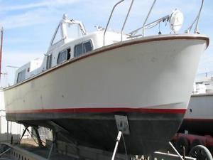 1991 Willard