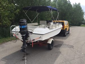 1979 Viking
