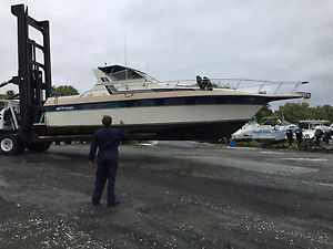 1985 Cruiser