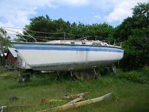 1983 Hunter 31 Sloop with NO RESERVE!