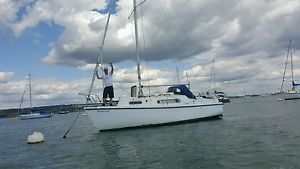 Snapdragon 747 - 24'6" bilge keel sailing yacht NEEDS TO GO...LOW RESERVE!!!