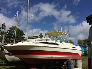 sea ray sundancer diesel