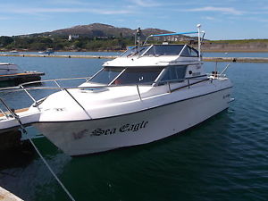 cruiser international 224