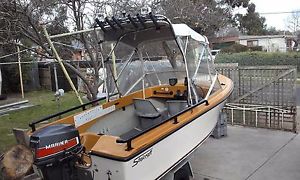 15 foot stejcraft boat and trailer