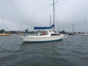 Endeavour Mk1 24