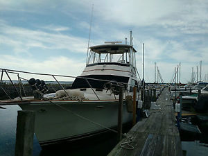 1982 OCEAN SUNLINER