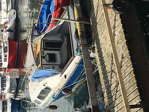 seamaster 26 cruiser