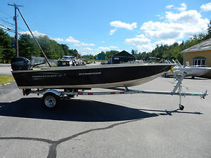 2015 Princecraft Starfish