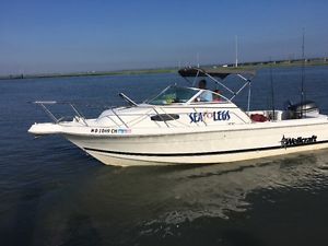 1999 Wellcraft
