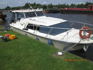Birchwood 25 Executive