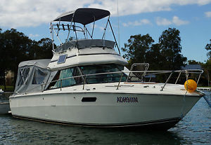 Sea Ray Fly Bridge
