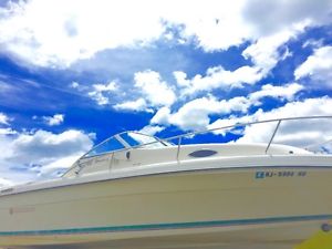 1995 Rinker