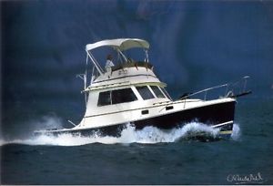 1985 Blue Seas 31