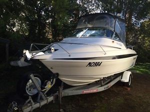 Haines Hunter 2010 Profish 5.3M Yamaha 115Hp (75 Hours)