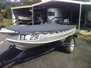 SAVAGE 12 FOOT TINNY AND TRAILER WITH 15HP