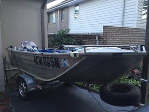 Boat - 12 foot fishing tinnie