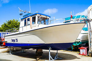 Botnia Targa 25.  The 4x4 of the sea