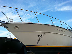 1989 Sea Ray 460