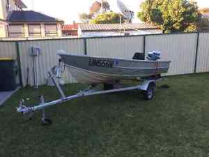 12ft tinny with motor and trailer