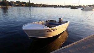 Quintrex 410 dory