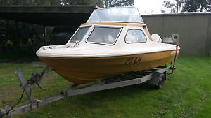 Caribbean Sandpiper 1974