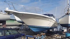 1990 Sea Ray 420 Sundancer (Must Sell)