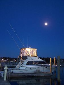1988 Luhrs