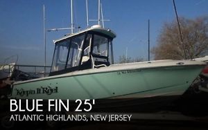 2007 Blue Fin Pro Fish 250