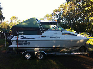 Haines Hunter Warrior 175 HP Johnson outboard