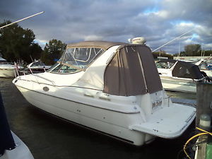 1999 Cruisers  3075 Rogue