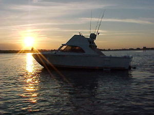 1975 Seabird