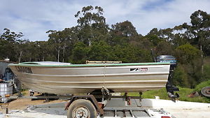 savage tinny with mercury on trailer unreg boat in VGC ,motor done not much