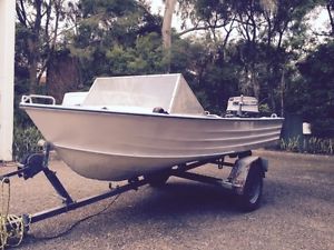3.6M Fishing Boat - 25hp Evinrude - No Reserve