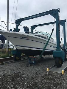 1992 sea ray 270