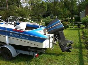 larson 19 ft Boat for sale    600cc