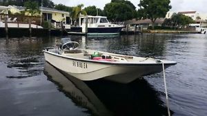 1981 Boston Whaler 110 Tender / Dinghy / Runabout