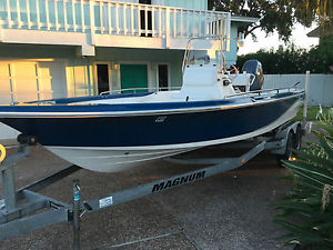 2007 Blue Wave 2200 Pure Bay
