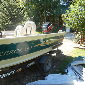 2003 smokercraft stinger
